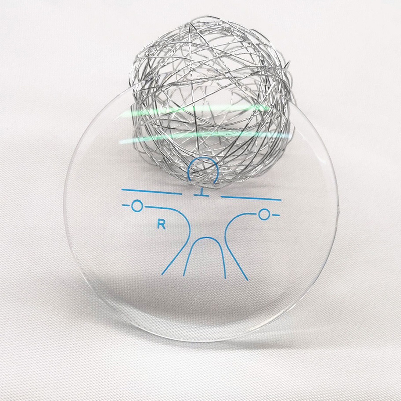 1.59 PC Lionsa Forchéimnitheach HMC/SHMC