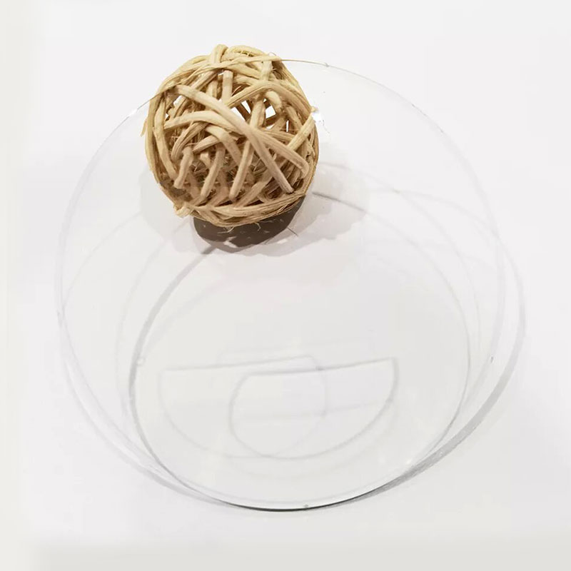 1.499 Lionsa Barr Maol Défhocal