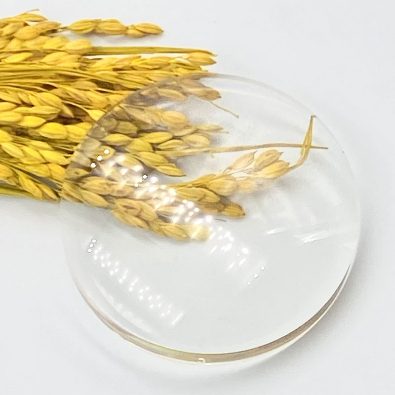 1.60 Lionsa Aonfhís Leathchríochnaithe